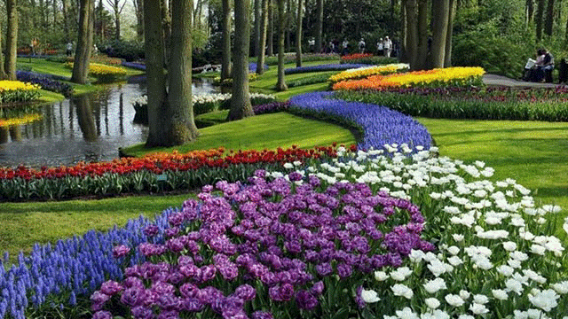 Cura e manutenzione aree verdi